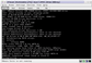 Linux kernel boot in process