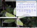 KDE3 Desktop BPB 03/20/2002