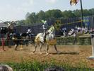 At the joust