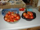 A raft of tomatoes.