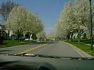 Coming home, driving up our street