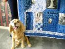 Lucy helps display the quilt