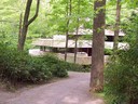 Fallingwater: A first glimpse through the trees