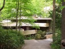 Fallingwater: A second view down the driveway