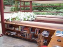 Fallingwater: shelves and flowers around the hatch down to the stream
