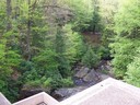 Fallingwater: downstream view from the top terrace