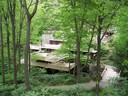 Fallingwater: view from the nature walk on way back to car