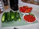 A day's harvest from the garden