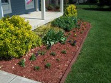 front right bed