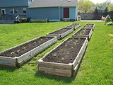 vegetable beds from the bottom